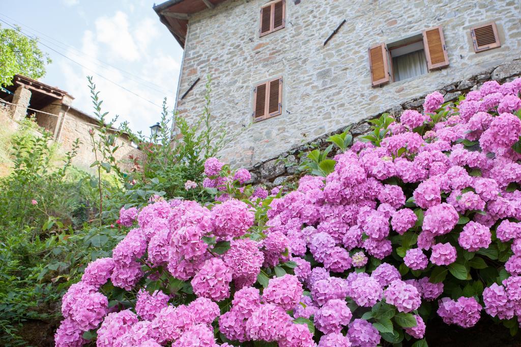 Il Borgo Dei Corsi - Charming Holiday Apartments Ortignano Raggiolo Eksteriør billede